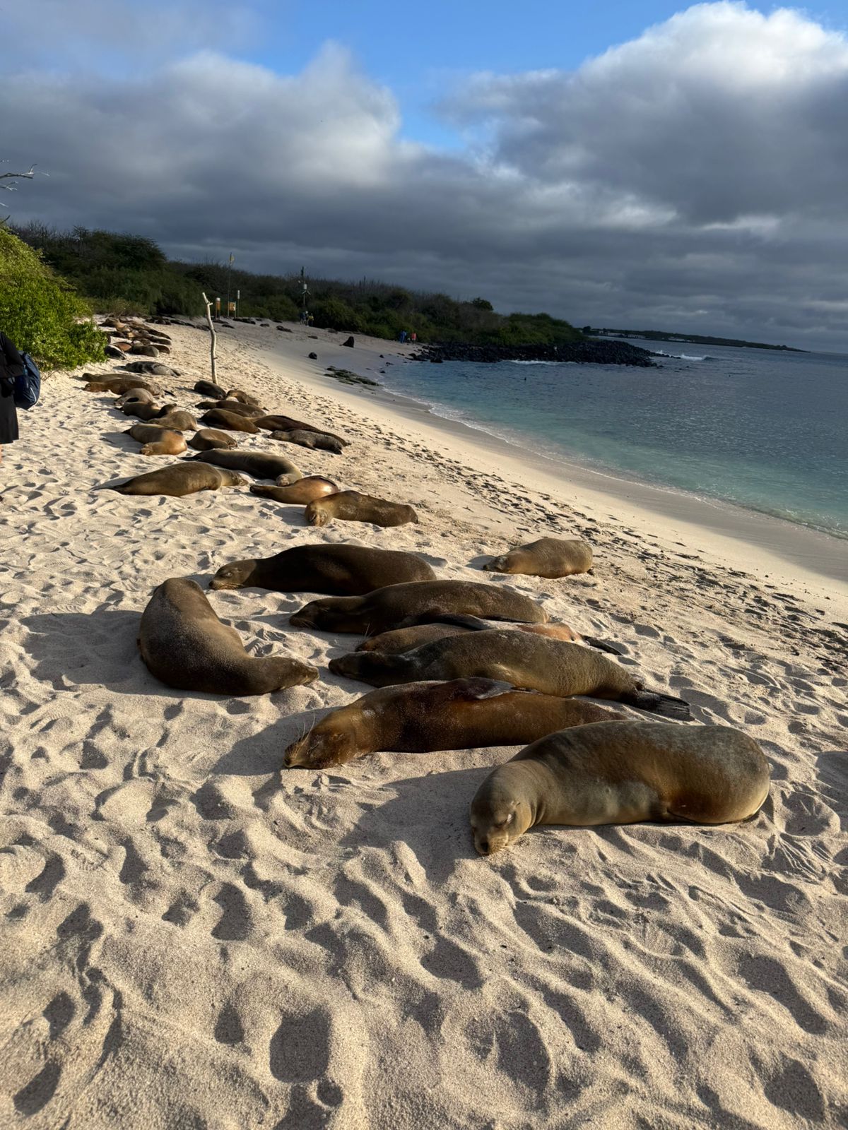 Foto de GALAPAGOS - WhatsApp Image 2025-09-09 at 10.45.34 AM (9).jpeg